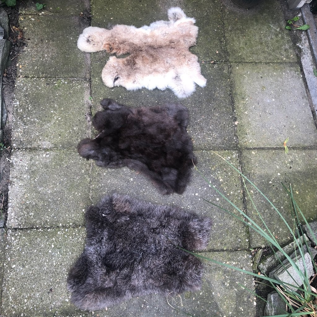 Konijnen vachtjes 3 voor €15, Ophalen of Verzenden, Gebruikt, Boerderijdier, Opgezet dier