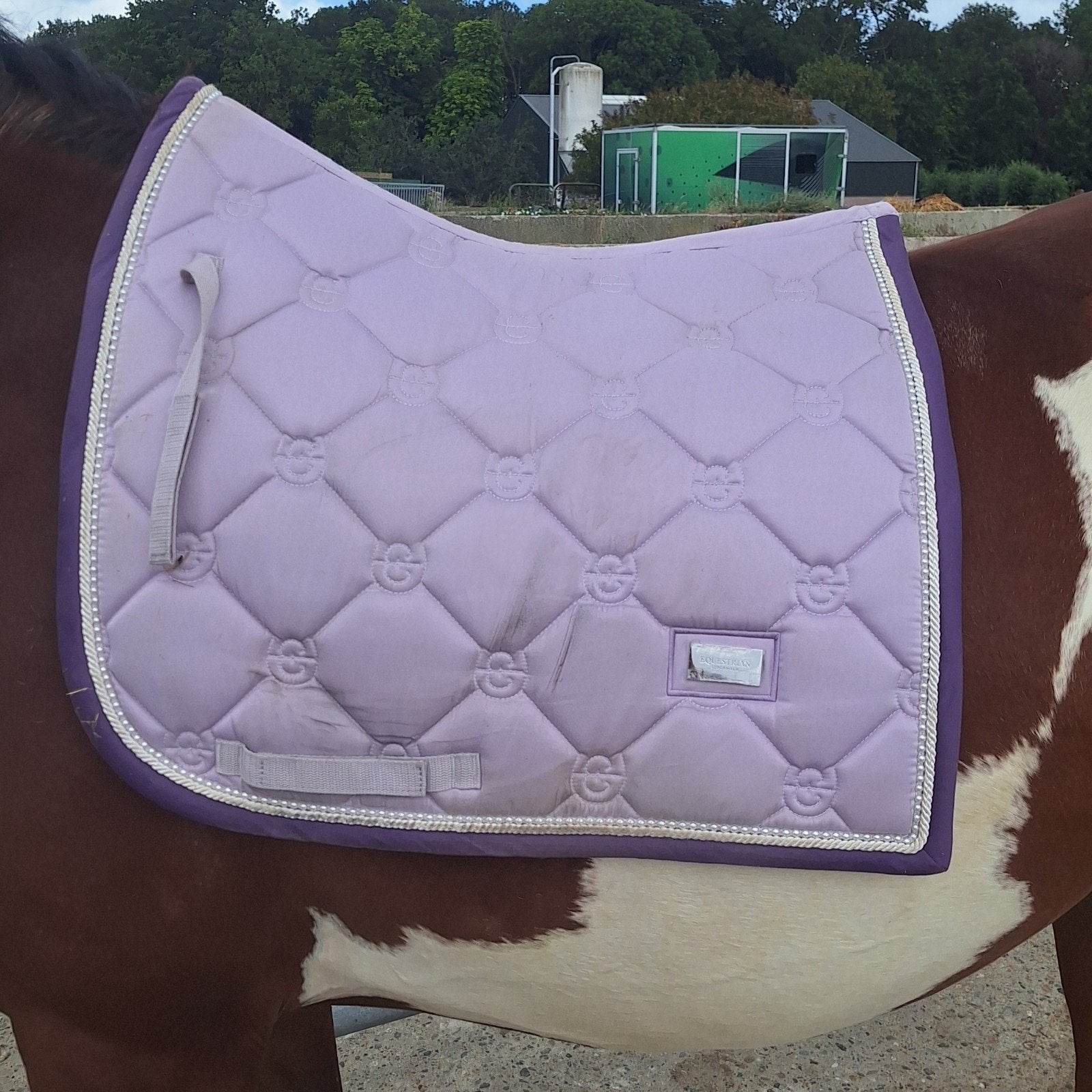 Equestrian Stockholm Lavender Pearl FULL DR, Dieren en Toebehoren, Full (L), Dressuurdekje, Equestrian Stockholm, Ophalen of Verzenden