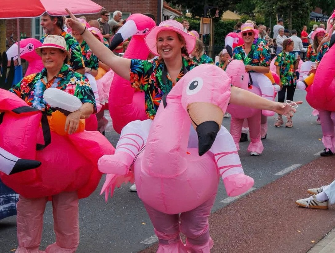 Flamingo pakken 23 stuks, Ophalen, Zo goed als nieuw