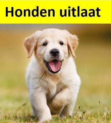 Honden uitlaat service, Ophalen, Nieuw