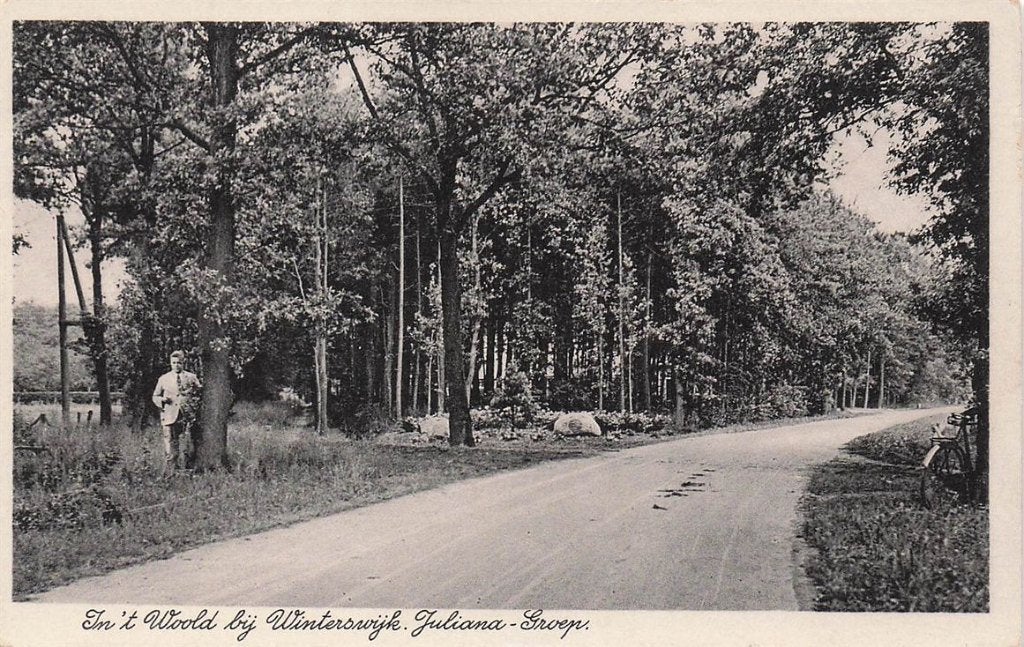 702-216-017 In't Woold Bij Winterswijk Juliana-Groep, Verzenden, Voor 1920, Gelderland