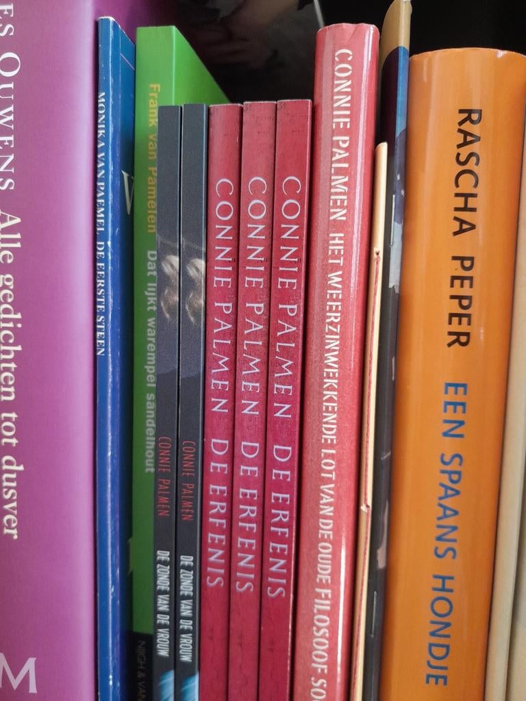 Gesigneerde boeken Connie Palmen, Boeken, Ophalen of Verzenden