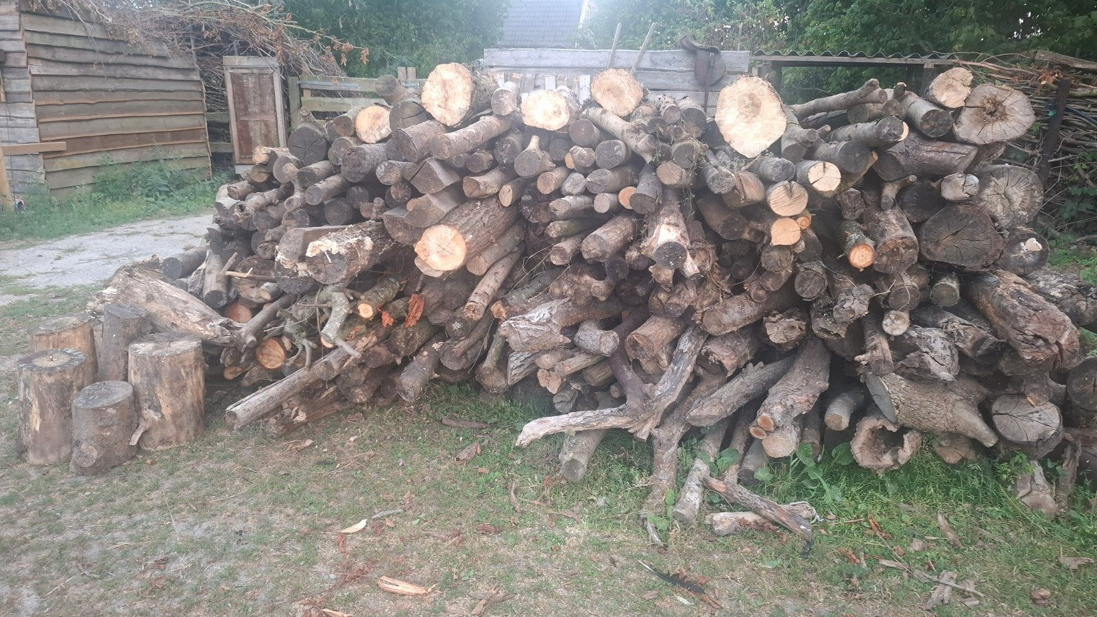 Circa 10 m3 gedroogd brandhout: es, hazelaar, populier, Tuin en Terras, Haardhout, Minder dan 3 m³, Ophalen of Verzenden