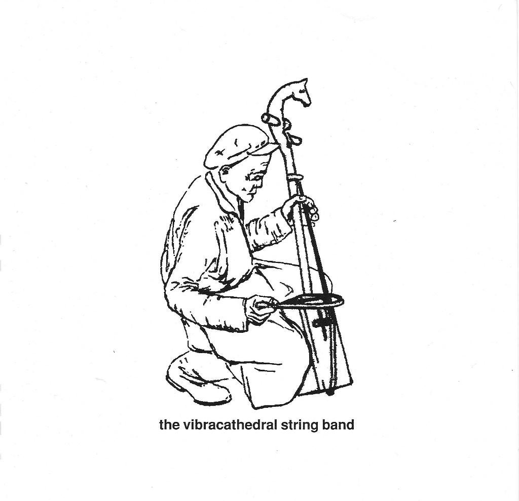 the vibracathedral orchestra/string band-drum troupe-punk, Verzenden, Gebruikt, Rock en Metal