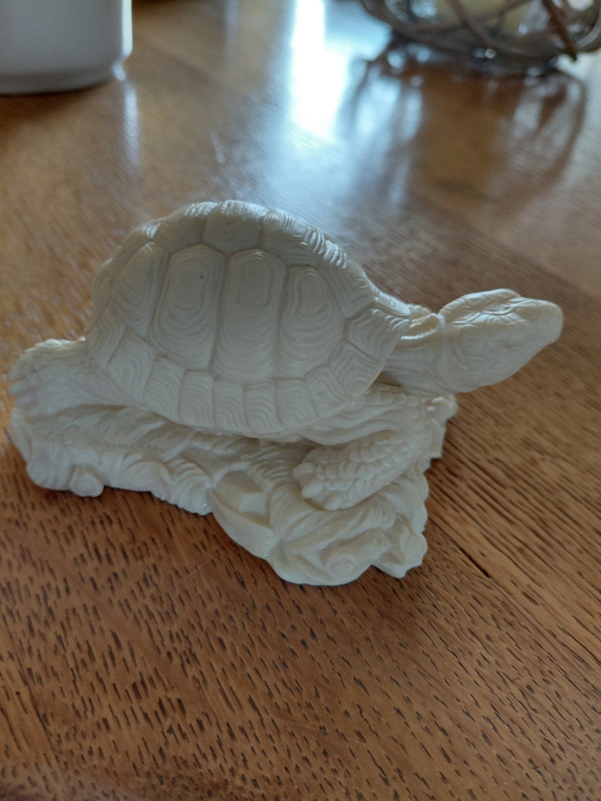 albasten schildpad, Ophalen of Verzenden, Zo goed als nieuw, Dier