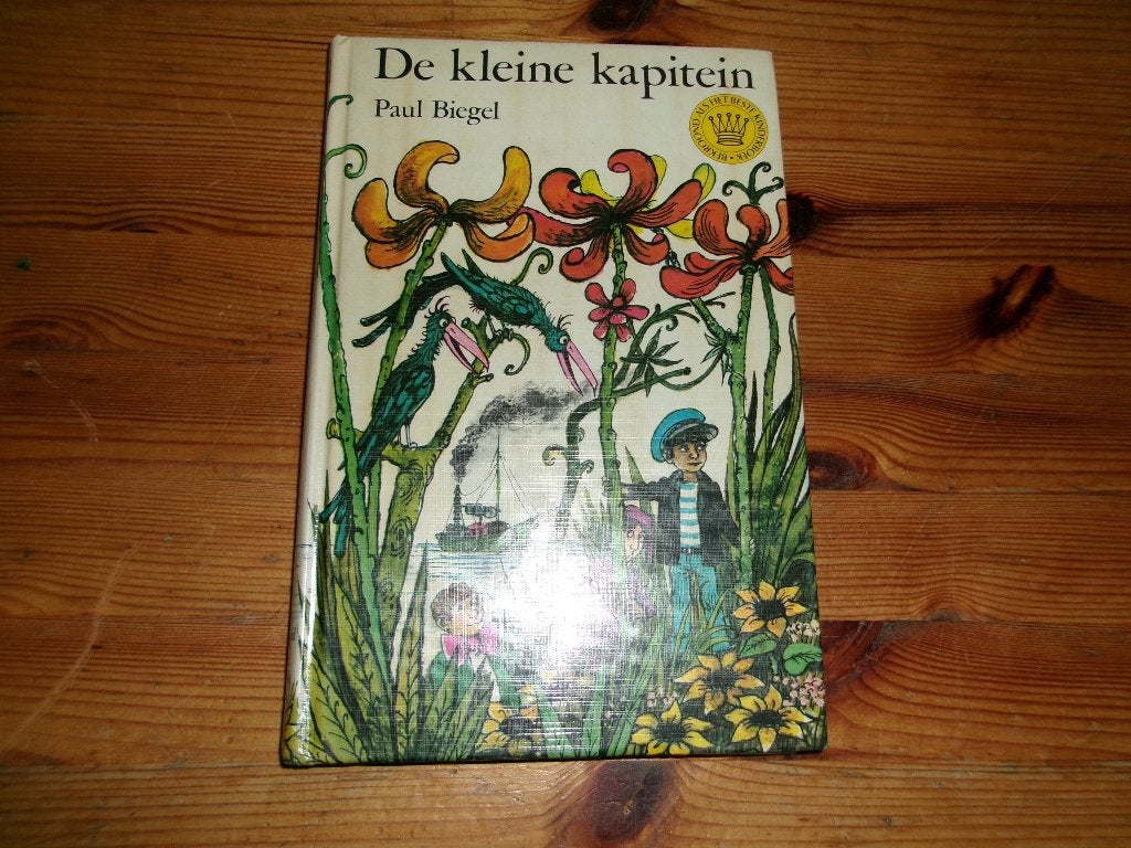 Paul Biegel - De kleine kapitein, Ophalen of Verzenden, Gelezen, Fictie algemeen