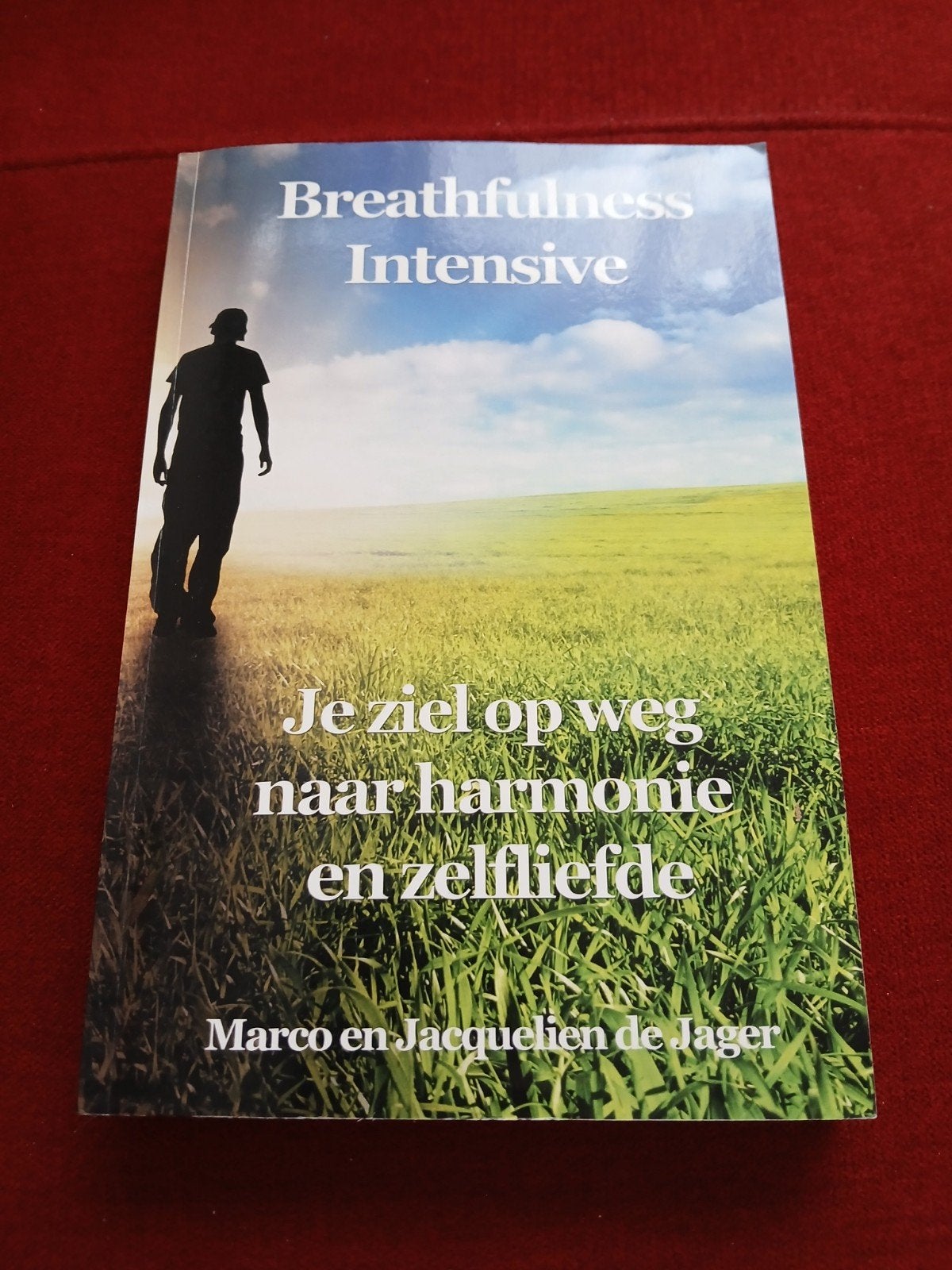 Breathfulness Intensive: Je ziel op weg naar harmonie, Achtergrond en Informatie, Ziel of Sterfelijkheid, Ophalen of Verzenden