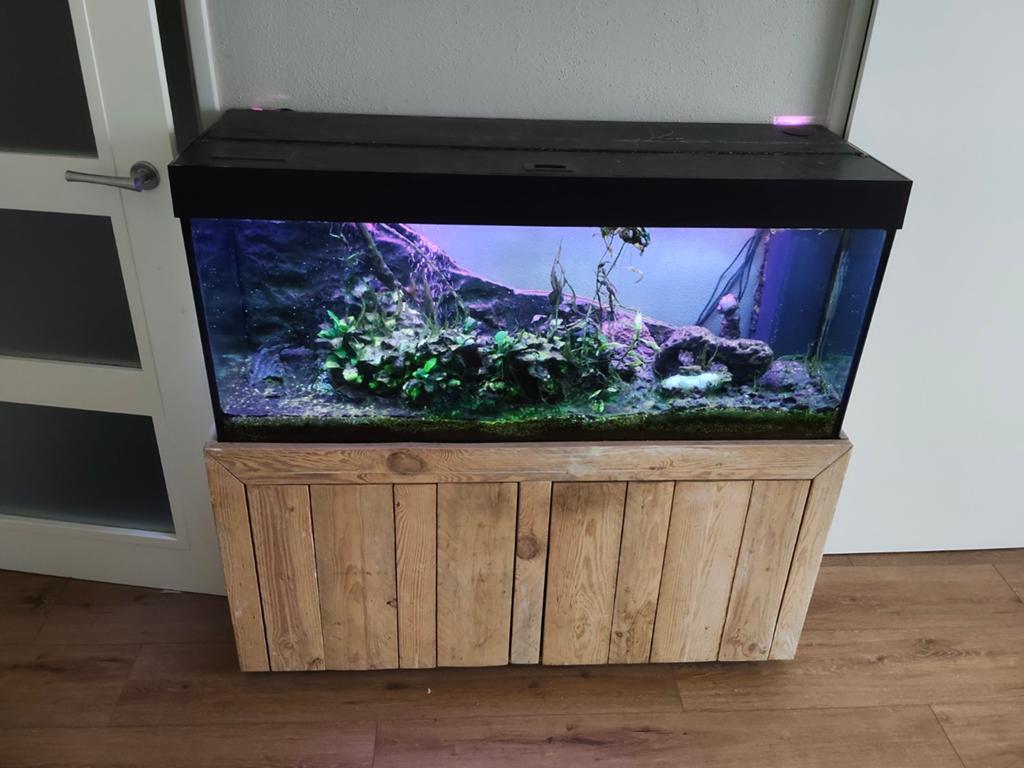 Mooi Juwel aquarium, Ophalen, Zo goed als nieuw, Leeg aquarium