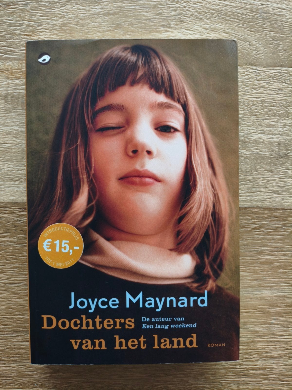 Dochters van het land - Joyce Maynard, Boeken, Ophalen of Verzenden, Zo goed als nieuw