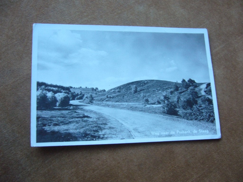 DE STEEG  =  WEG NAAR DE POSBANK, Ophalen of Verzenden, 1940 tot 1960, Gelopen, Gelderland