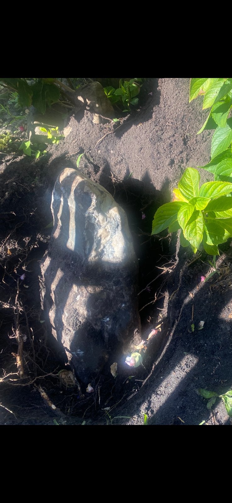 GRATIS! Grote natuursteen voor tuin of decoratie, Maaskeien, Ophalen, Overige materialen, Gebruikt, Kei