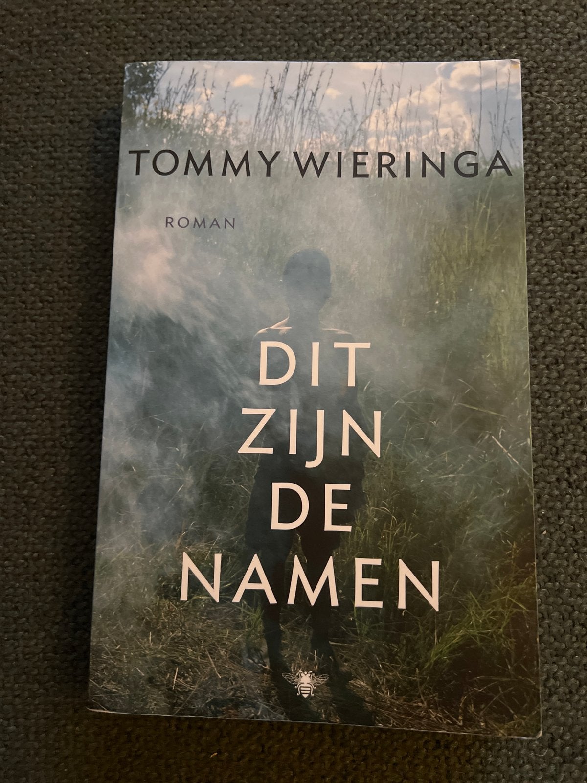 Dit zijn de namen - Tommy Wieringa (Roman), Ophalen of Verzenden, Zo goed als nieuw, Nederland