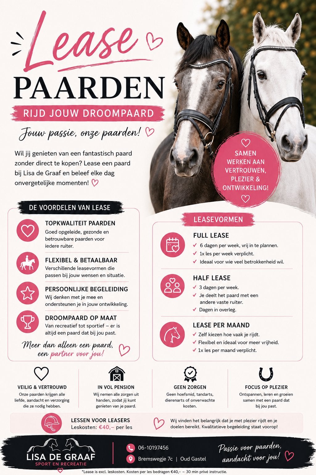 Leasepaarden aangeboden op onze locatie!, Met stamboom, Niet van toepassing, Meerdere dieren, 11 jaar of ouder