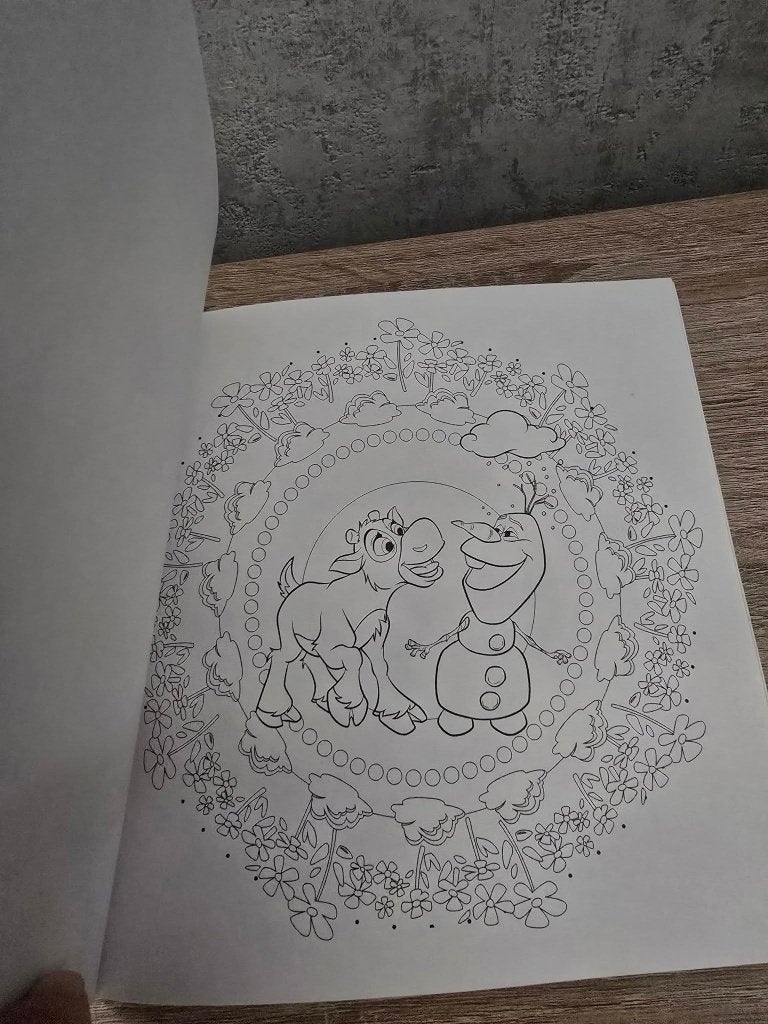Disney Frozen Mandala Kleurboek, Ophalen of Verzenden, Nieuw, Boek of Gids
