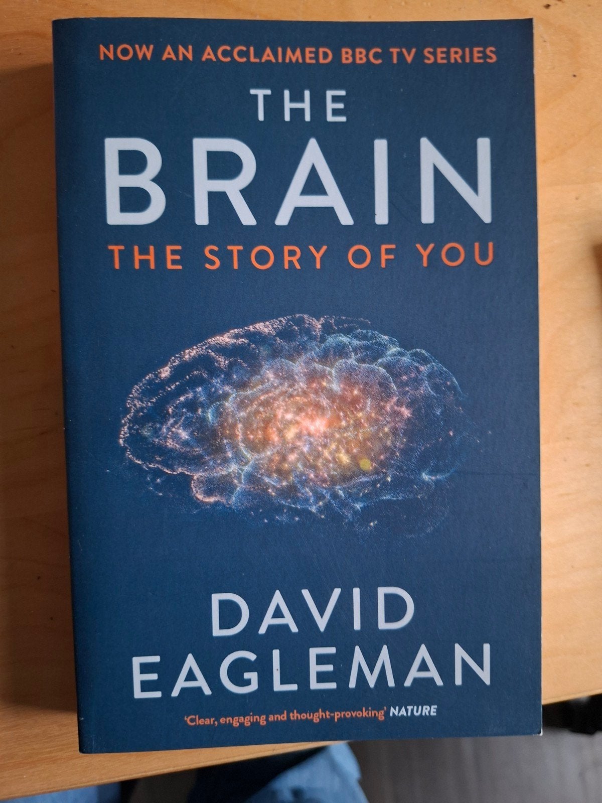 The Brain: The Story of You - David Eagleman, Ophalen of Verzenden, Zo goed als nieuw, David Eagleman, Natuurwetenschap