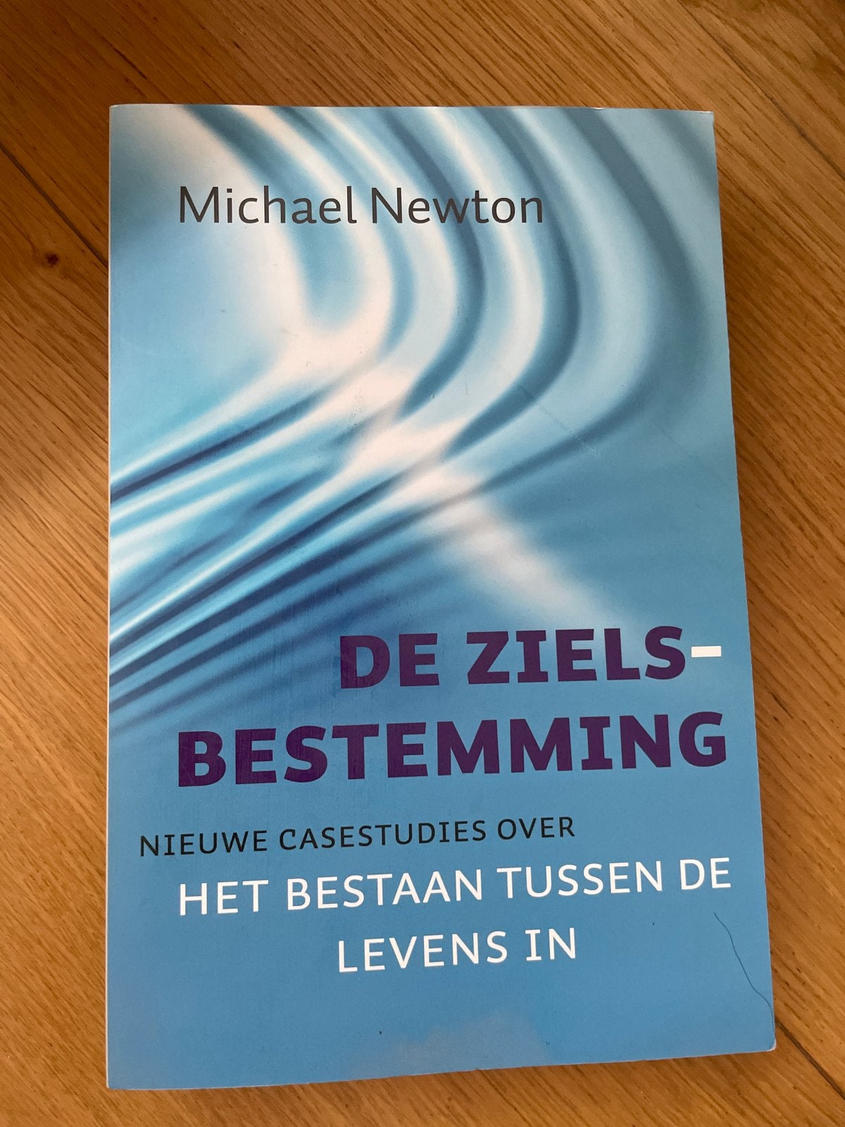 De Zielsbestemming - Michael Newton, Ophalen of Verzenden, Zo goed als nieuw, Ziel of Sterfelijkheid, Achtergrond en Informatie