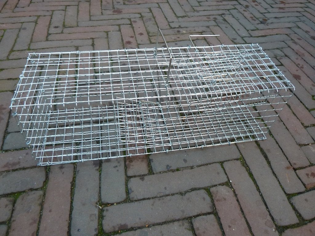 Rattenval, Tuin en Terras, Ophalen of Verzenden, Nieuw, Ongediertebestrijding