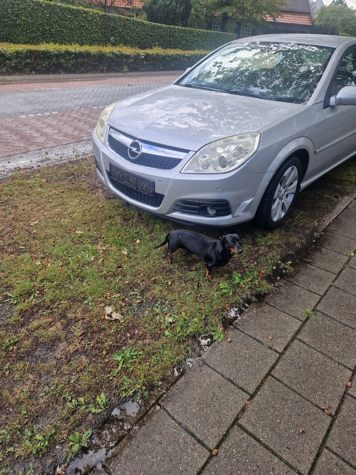 opel vectra automaat zilver, Ophalen, Gebruikt, Opel
