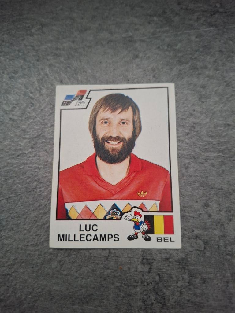 Panini sticker Euro 84 France. Luc Millecamps België., Verzenden, Zo goed als nieuw, Sticker