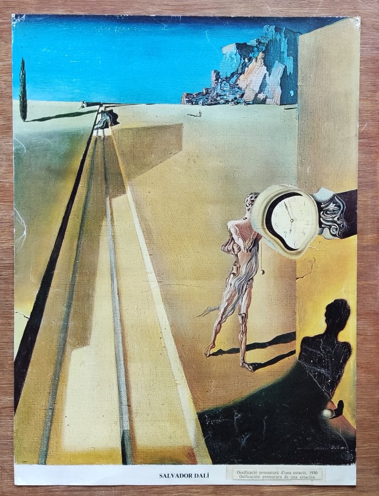 Poster Salvador Dali1930, Ophalen of Verzenden, Gebruikt, A1 t/m A3