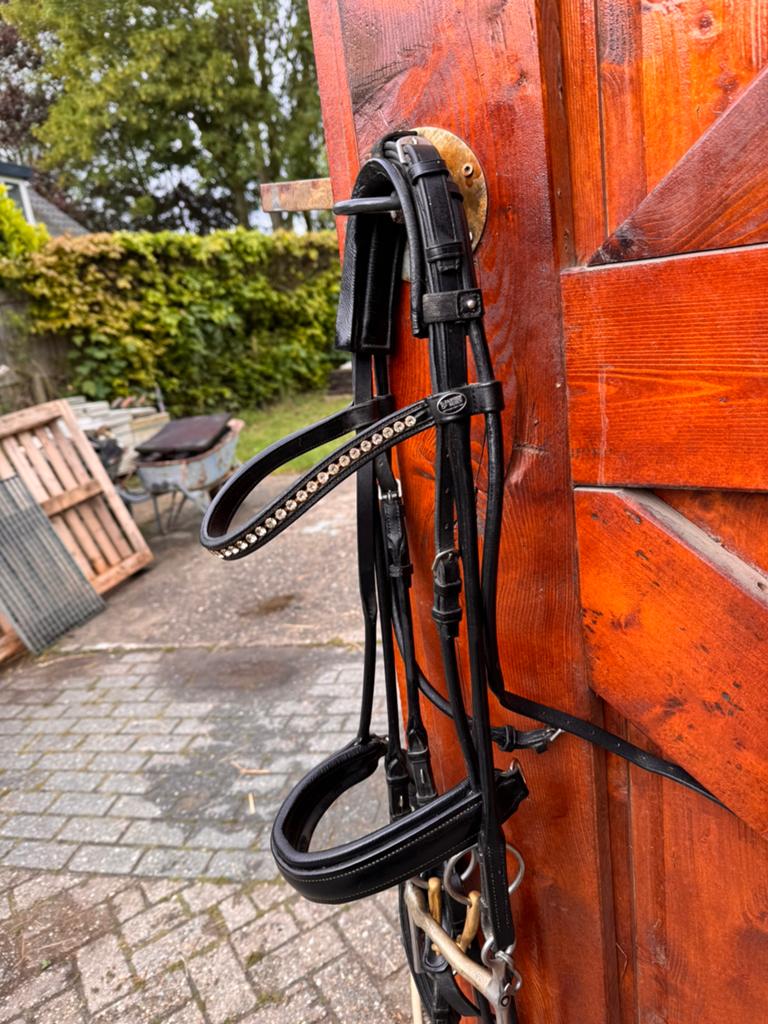 Stang en trens hoofdstel Passier en trens hoofdstel Fairfex, Dieren en Toebehoren, Paarden en Pony's | Hoofdstellen en Tuigage
