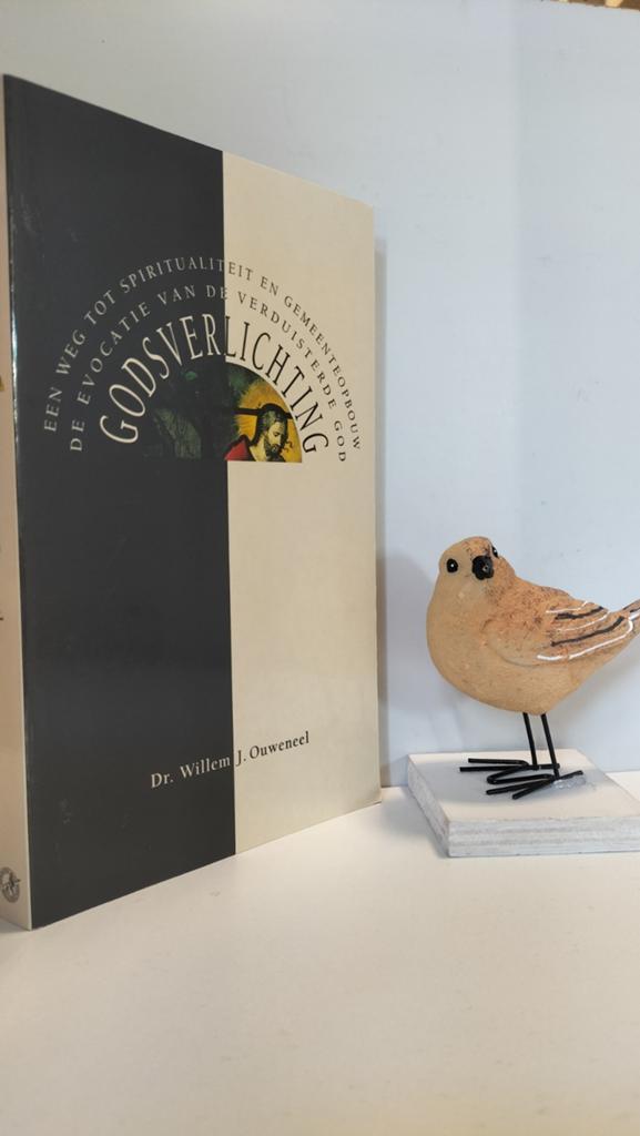 Ouweneel, Dr. W.J.; Godsverlichting, Boeken, Godsdienst en Theologie, Ophalen of Verzenden, Gelezen, Christendom | Protestants