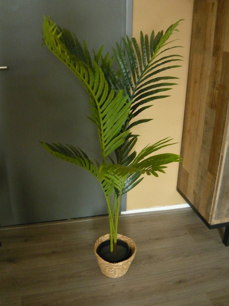 kunstplanten, Ophalen, Gebruikt, Kunstplant, Binnen