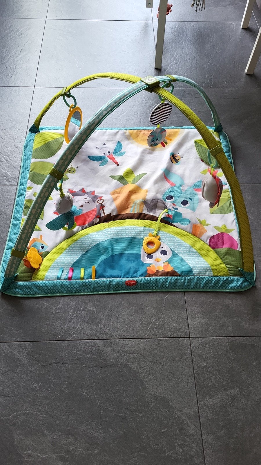 Tiny Love Babygym Speelkleed met speelbogen, Ophalen, Gebruikt, Babygym, Met geluid