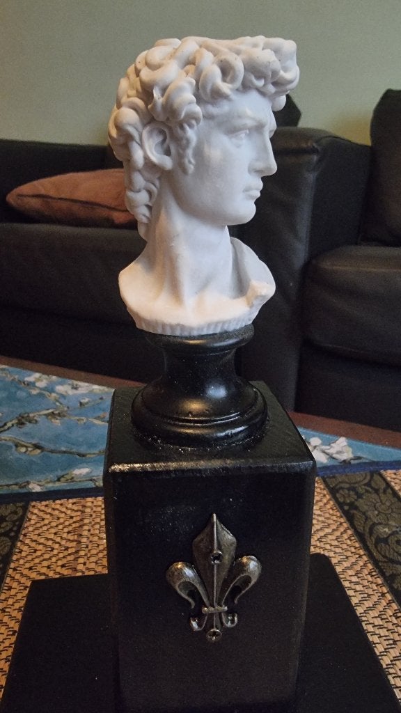 BUSTE MICHELANGELO'S DAVID OP VOETSTUK MET LELIE, Antiek en Kunst, Overige onderwerpen, Ophalen of Verzenden, 20 - 50 cm, Beeld