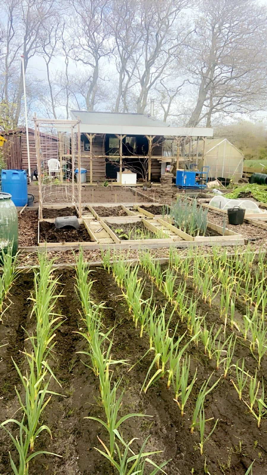 Te koop dubbeke volkstuin met tuinhuis,schuur en kas, Ophalen, Gebruikt