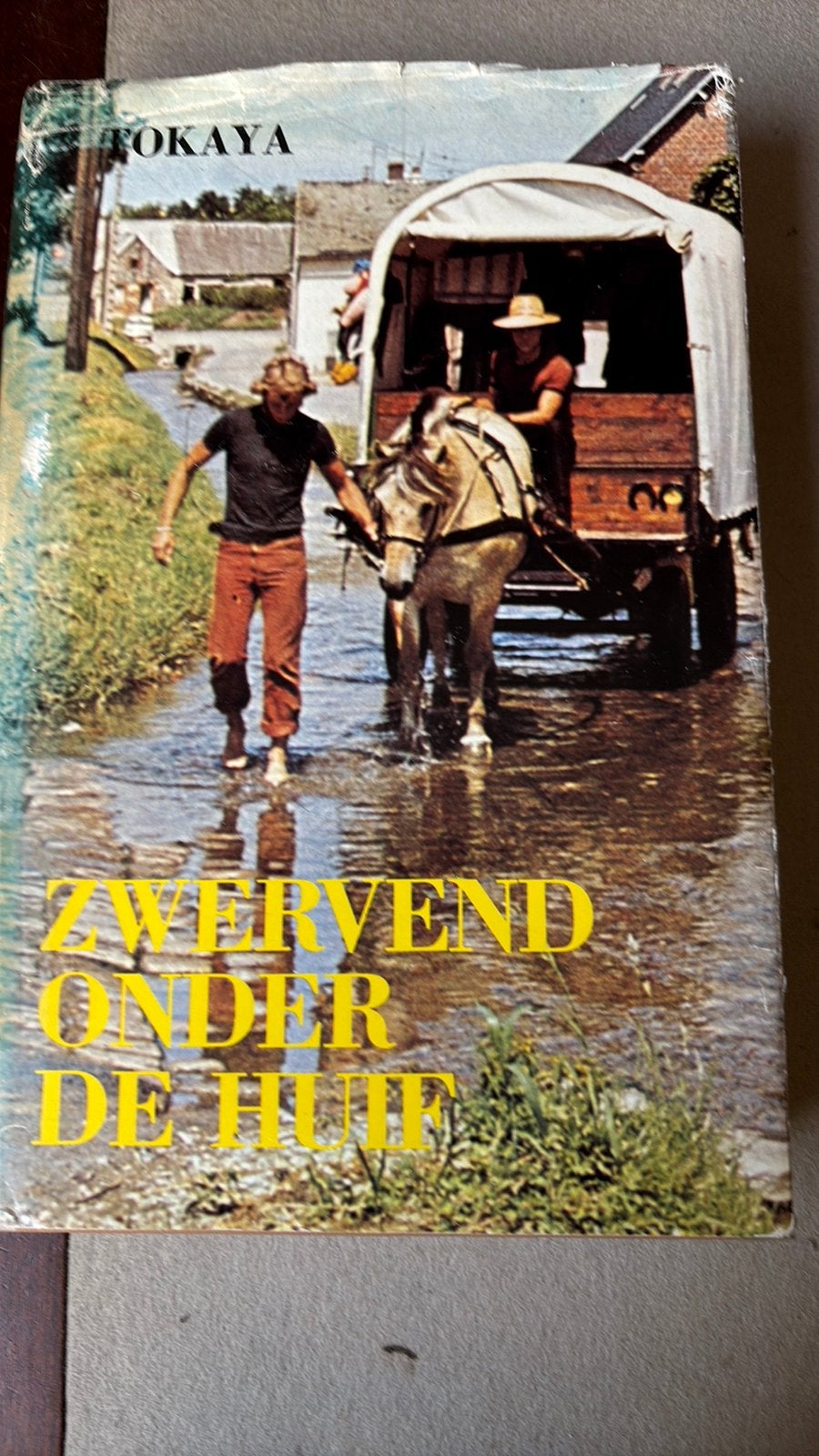Zwerfend onder de huif, Ophalen of Verzenden, Gelezen, Europa