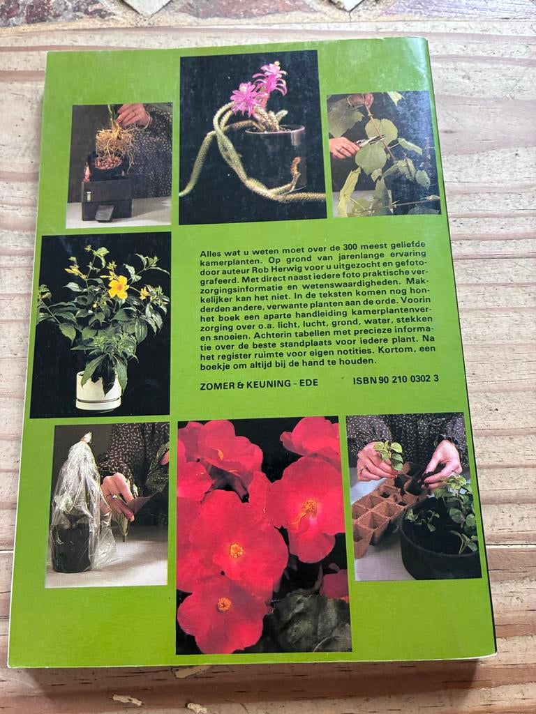 Kamerplanten: Verzorging en Onderhoud Gids, Boeken, Natuur, Ophalen of Verzenden, Zo goed als nieuw, Bloemen, Planten en Bomen