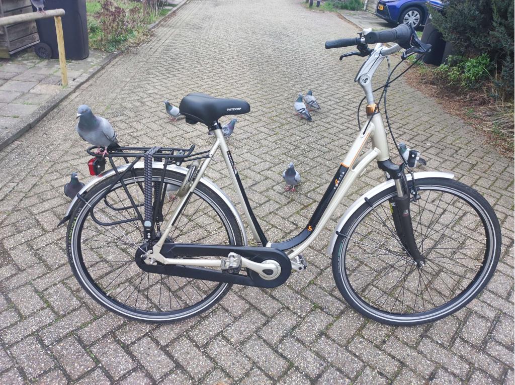 Sparta dames 7 speed erg netjes en goed 61 cm frame, Fietsen en Brommers, Fietsen | Dames | Damesfietsen, Sparta, Niet ingevuld