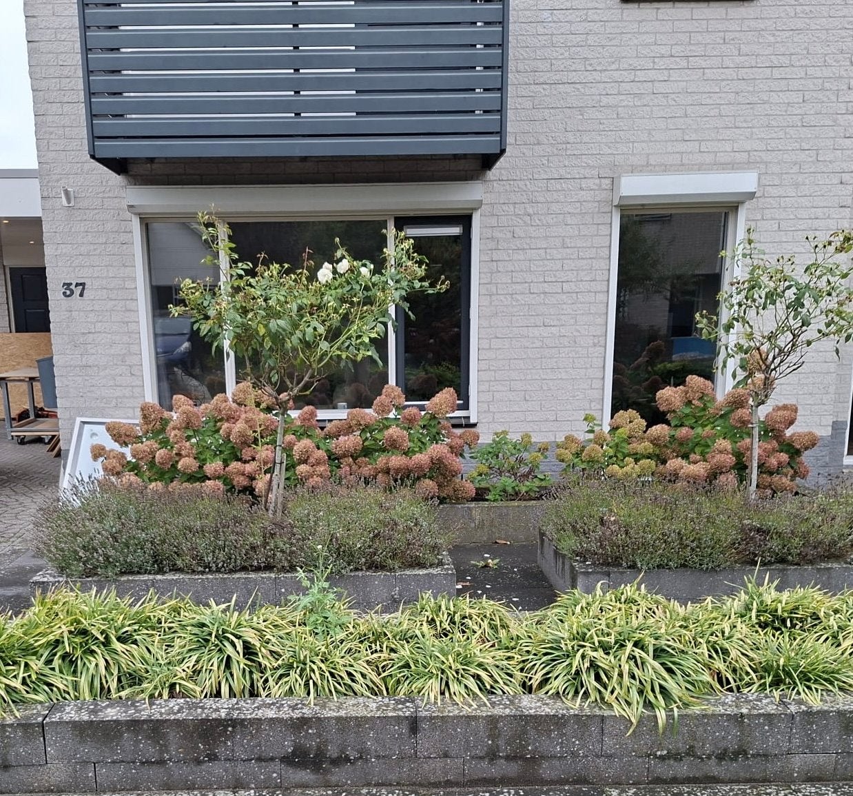 Elektrische rolluiken voor ramen., Ophalen, Gebruikt, Wit, 200 cm of meer