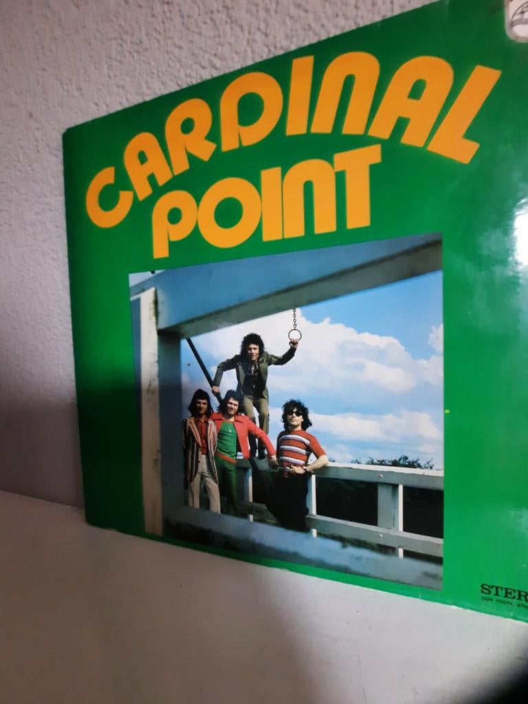 CARDINAL POINT, Cd's en Dvd's, Ophalen of Verzenden, Zo goed als nieuw, 12 inch