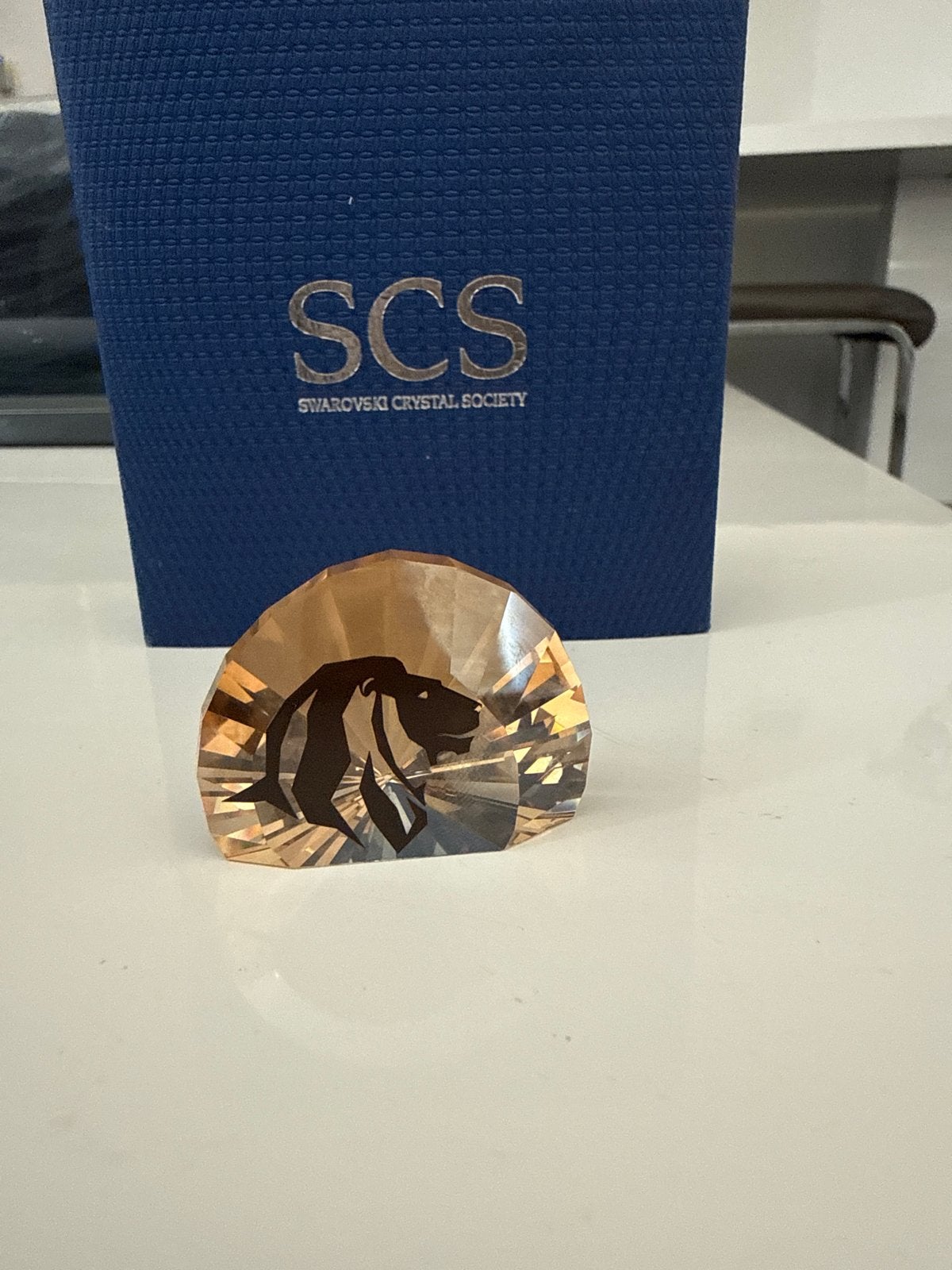 Swarovski Crystal Society Leeuw Kristal Figuur, Ophalen of Verzenden, Zo goed als nieuw, Figuurtje