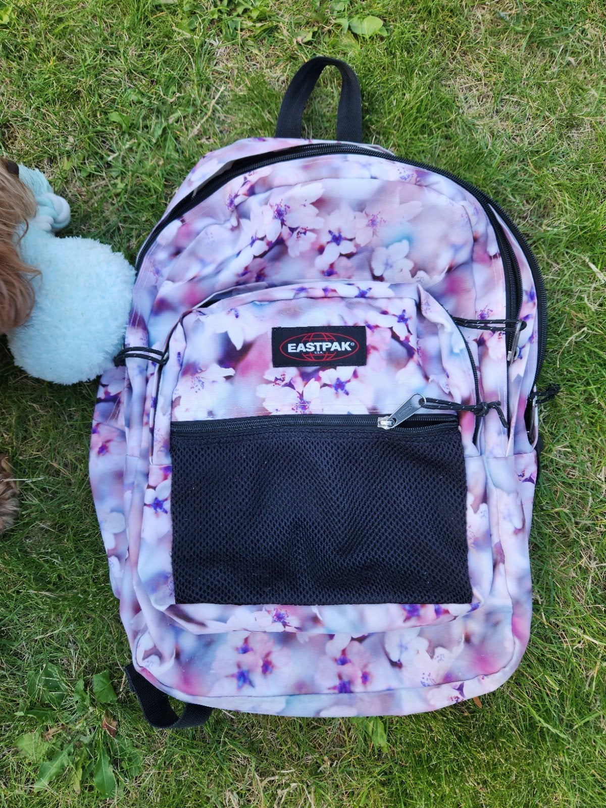 Eastpak rugzak 30 liter zo goed als nieuw, Ophalen of Verzenden, Zo goed als nieuw, Eastpak, 45 tot 60 cm
