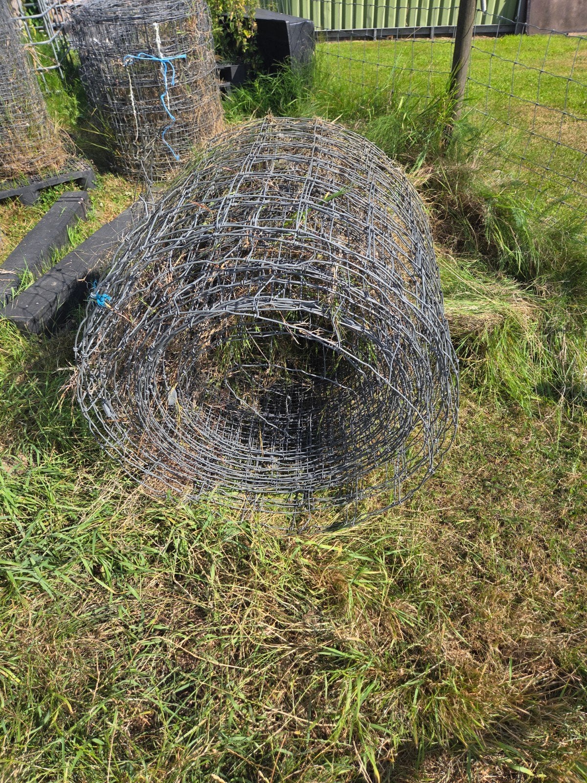 Te koop schapen gaas 2 x zware uitvoering en 3x lichte uitvo, Ophalen, Gebruikt, 20 meter of meer, Gaas