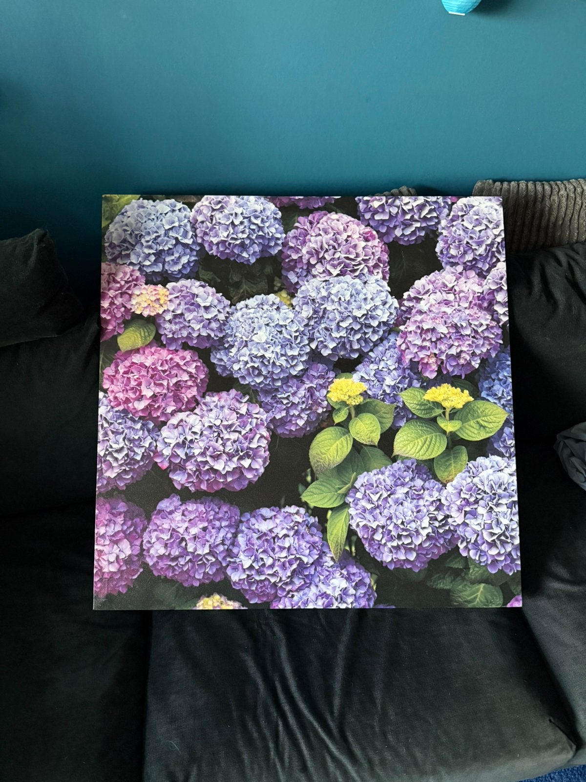 Outdoor Canvas Pictures / Canvas Buitenschilderijen, Ophalen