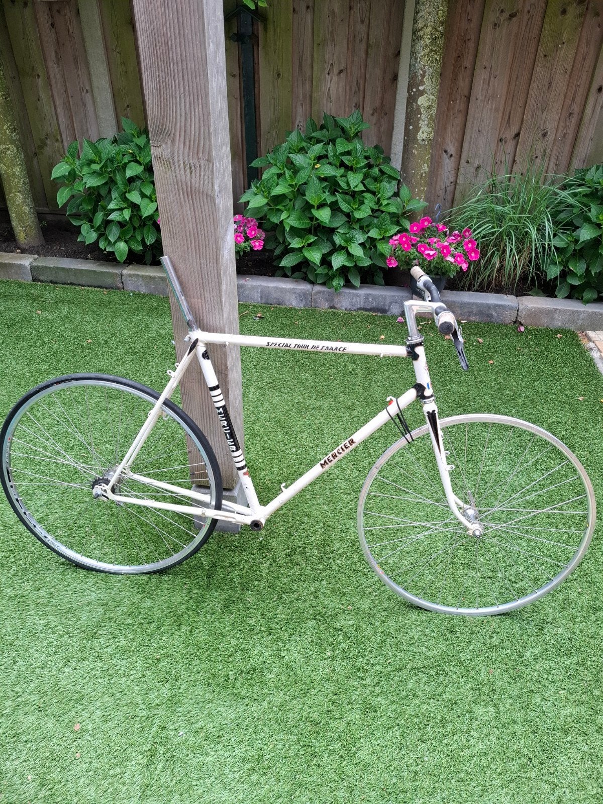 LAATSTE kansjes. Fixie of restauratieframes, Ophalen of Verzenden, Gebruikt, Frame
