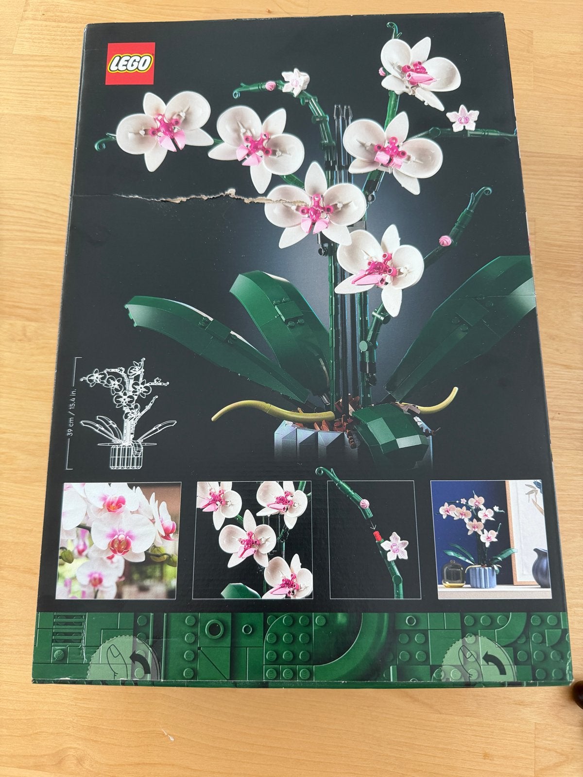 LEGO Orchidee 10311 - Nieuw in doos met lichte schade, Ophalen of Verzenden, Nieuw, Overige merken