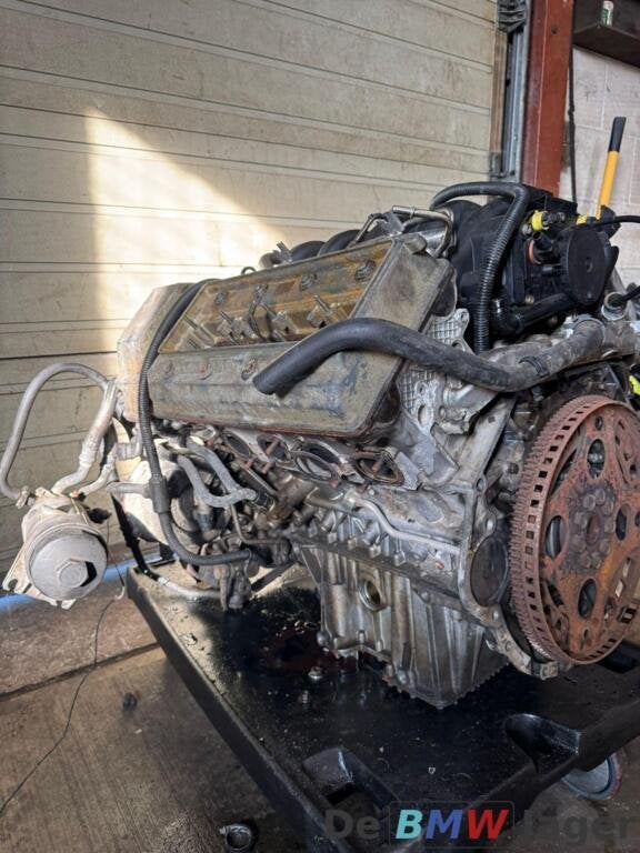 Motorblok BMW X5 E53 4,4i M62 enkel vanos 11007503392, Gebruikt, Ophalen of Verzenden, BMW, BMW