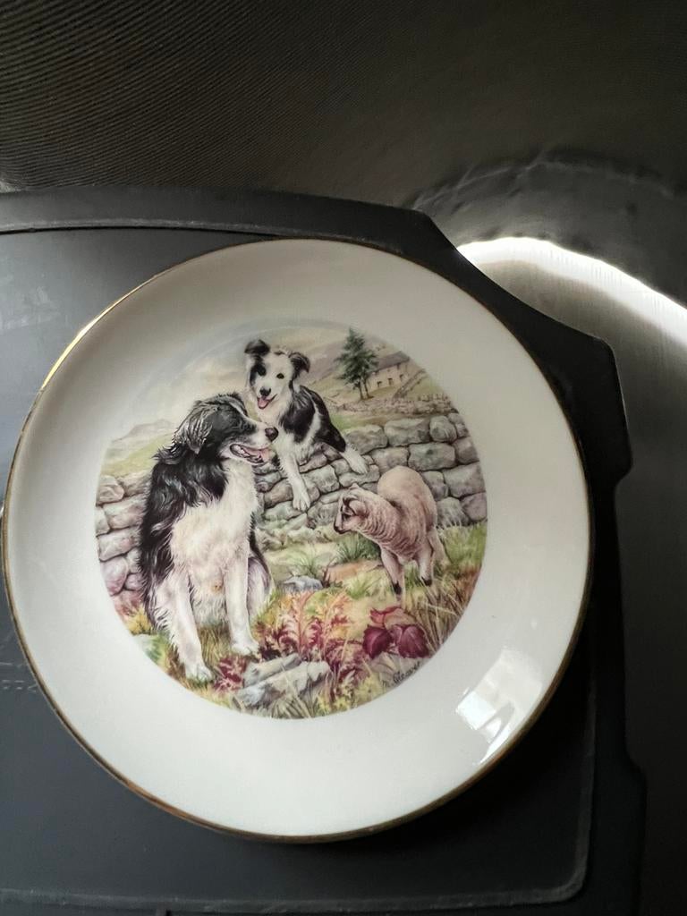 Border collie sierschotel Royal Vale England, Ophalen of Verzenden