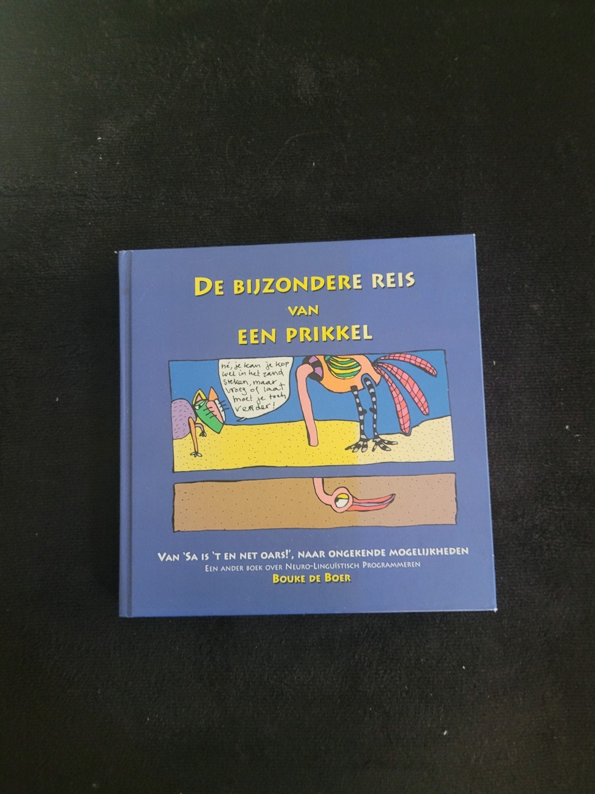 De Bijzondere Reis van een Prikkel - Bouke de Boer, Boeken, Ophalen of Verzenden, Gelezen, Bouke de Boer, Nederland