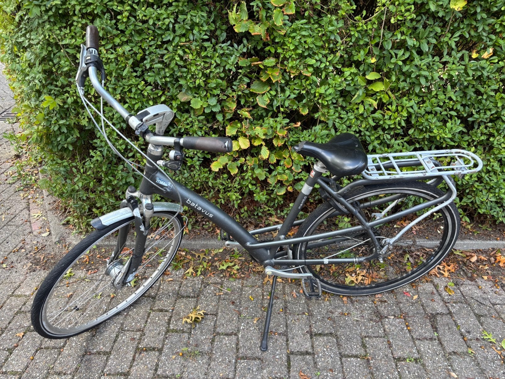 Batavus Mambo damesfiets, framemaat 53 - opknapper, Ophalen, Versnellingen, Batavus, 53 tot 56 cm
