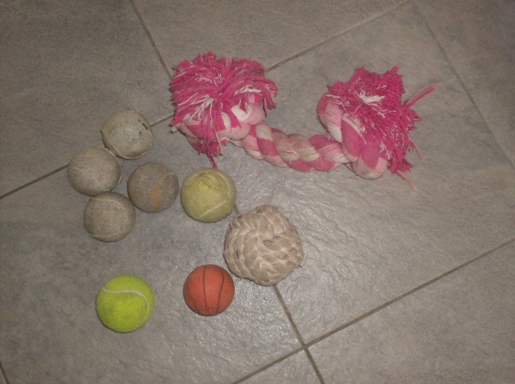 honden accessoires, Ophalen of Verzenden, Gebruikt