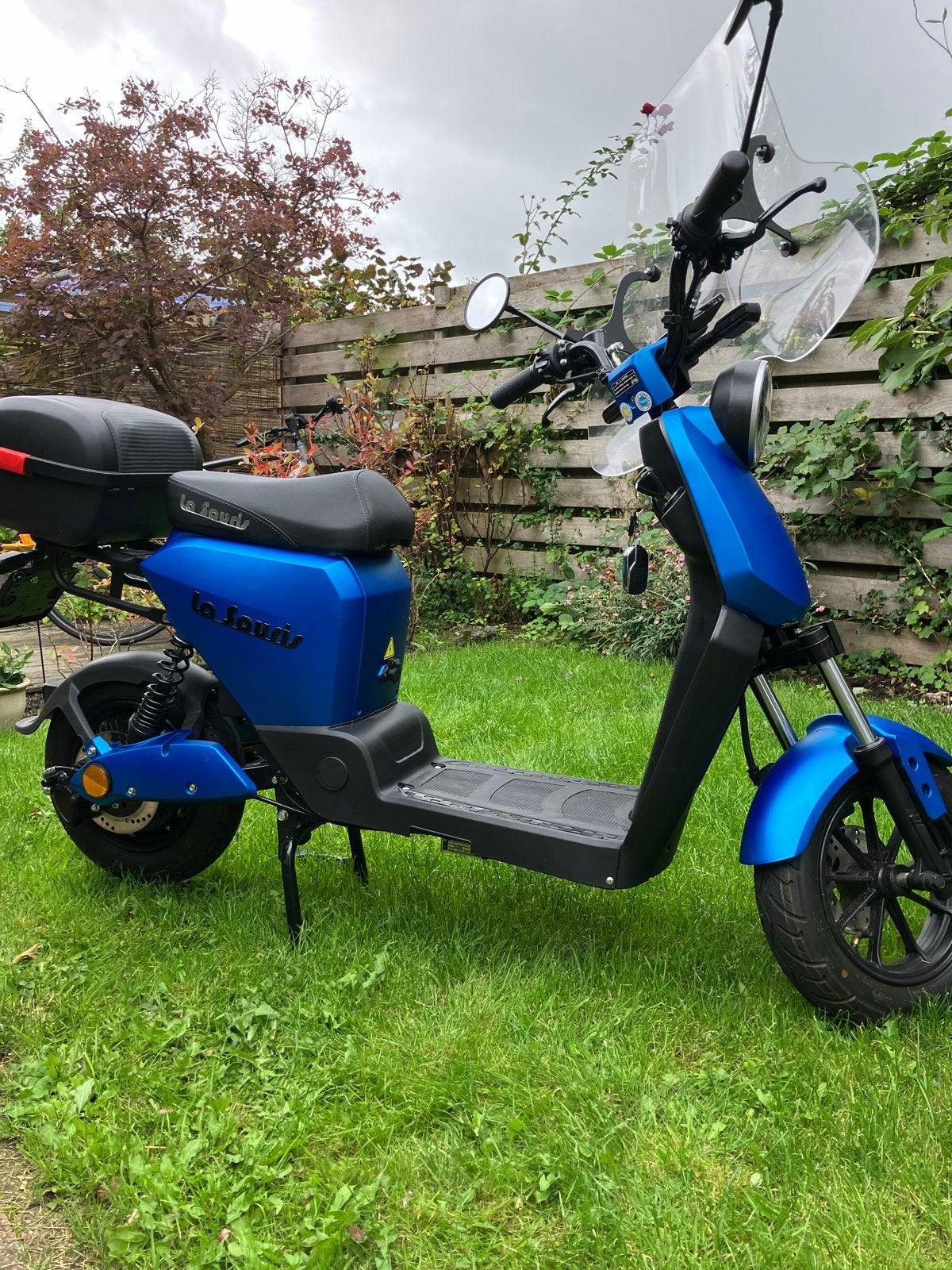 La Souris E-Scooter - Elektrische Scooter, Elektrisch, Nieuw, Ophalen, Overige merken