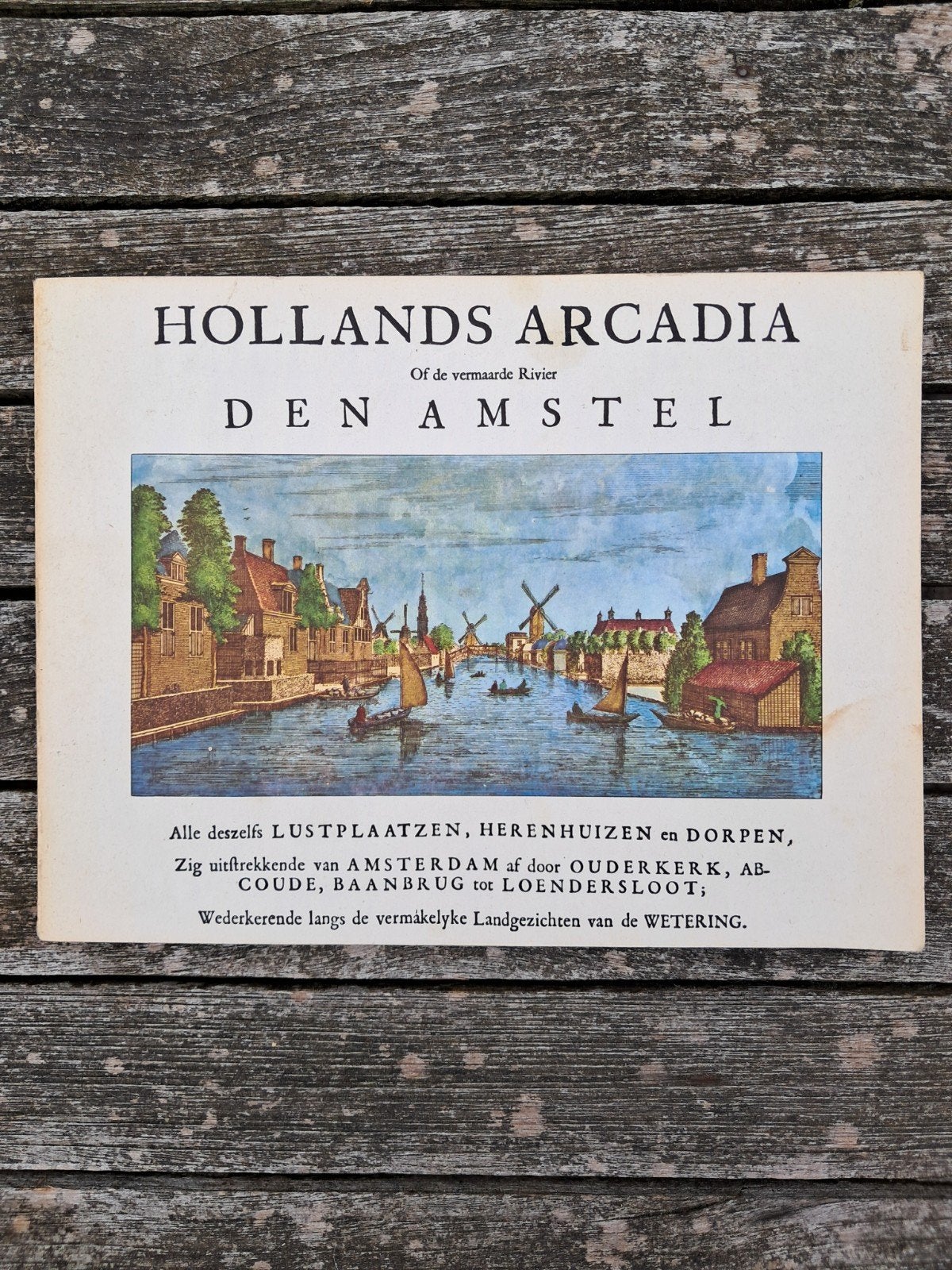 Hollands Arcadia: Van Amsterdam tot Loenersloot, Ophalen of Verzenden, Gelezen, Abraham Rademaker, Nederland
