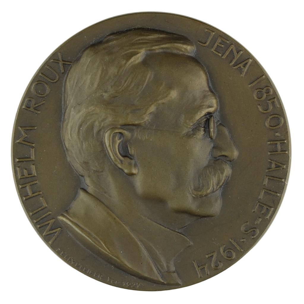 Felix Pfeifer EHRENMEDAILLE WILHELM ROUX FÜR DR. JAN BOEKE, Verzenden, Brons, Buitenland