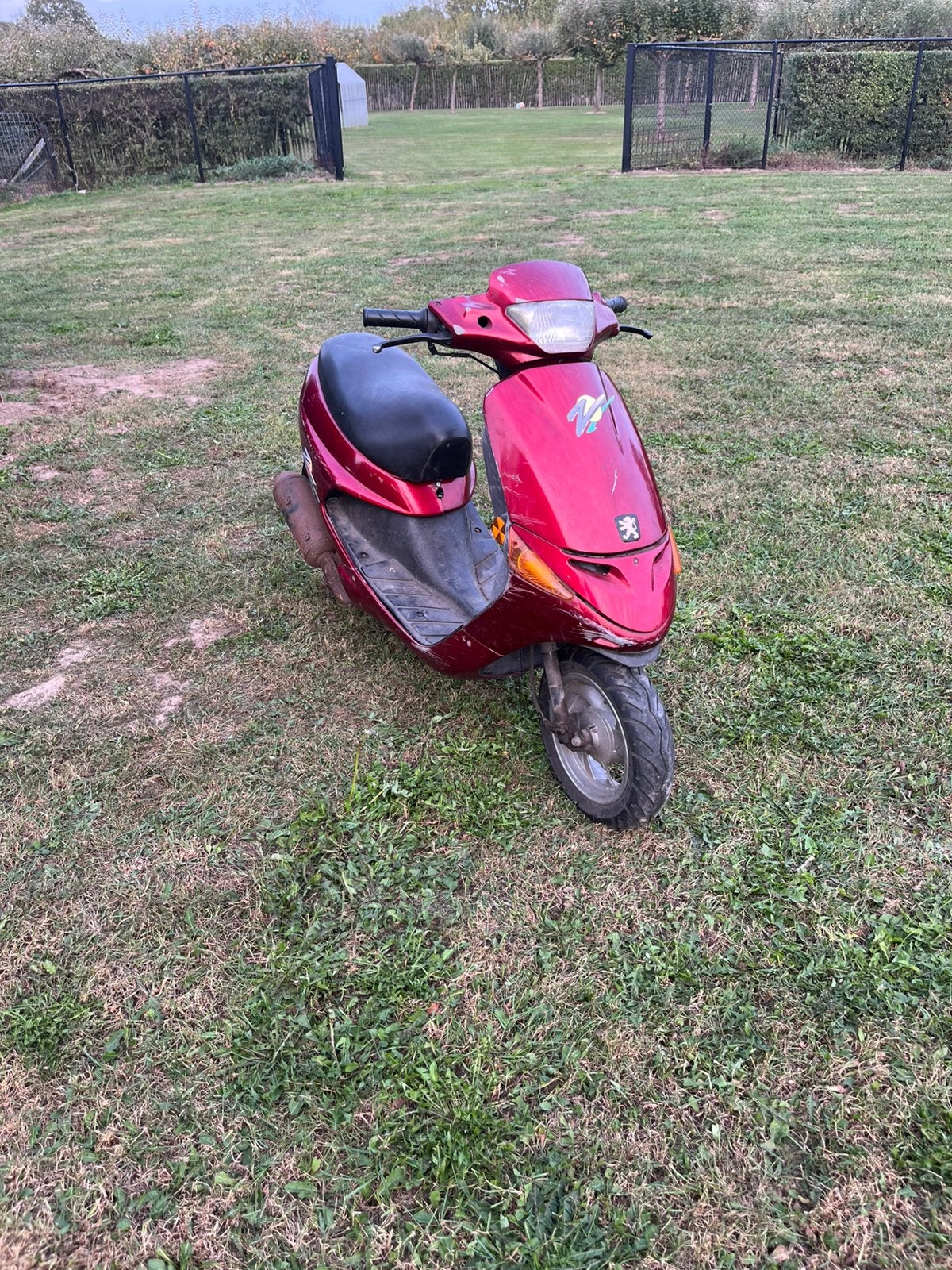 Peugeot zenith 50 cc, Ophalen, Gebruikt, Overige modellen, Benzine
